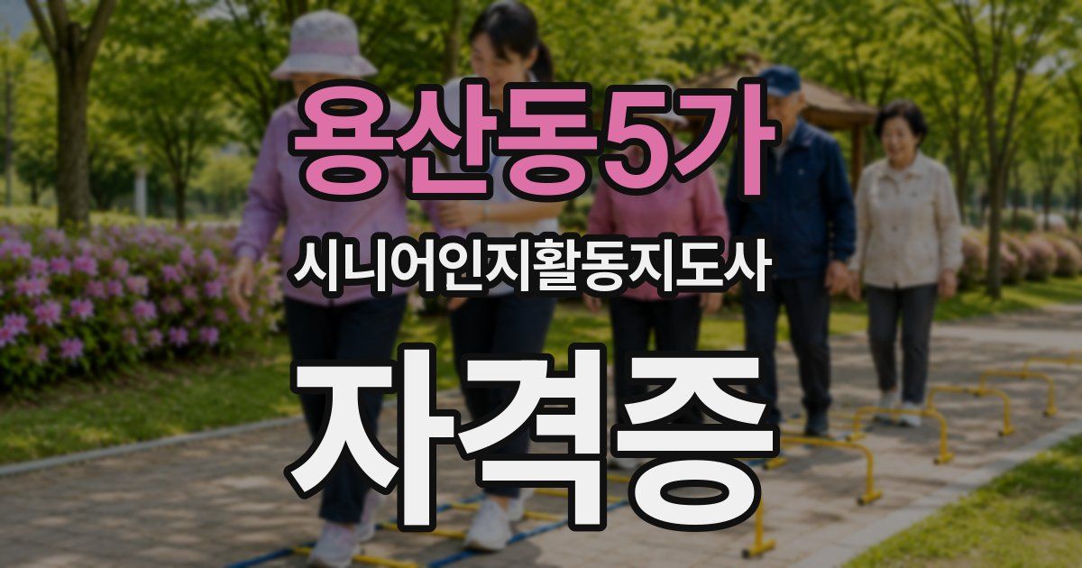 용산동5가 시니어인지활동지도사 자격증