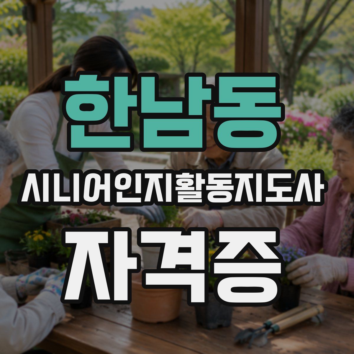 한남동 시니어인지활동지도사 자격증