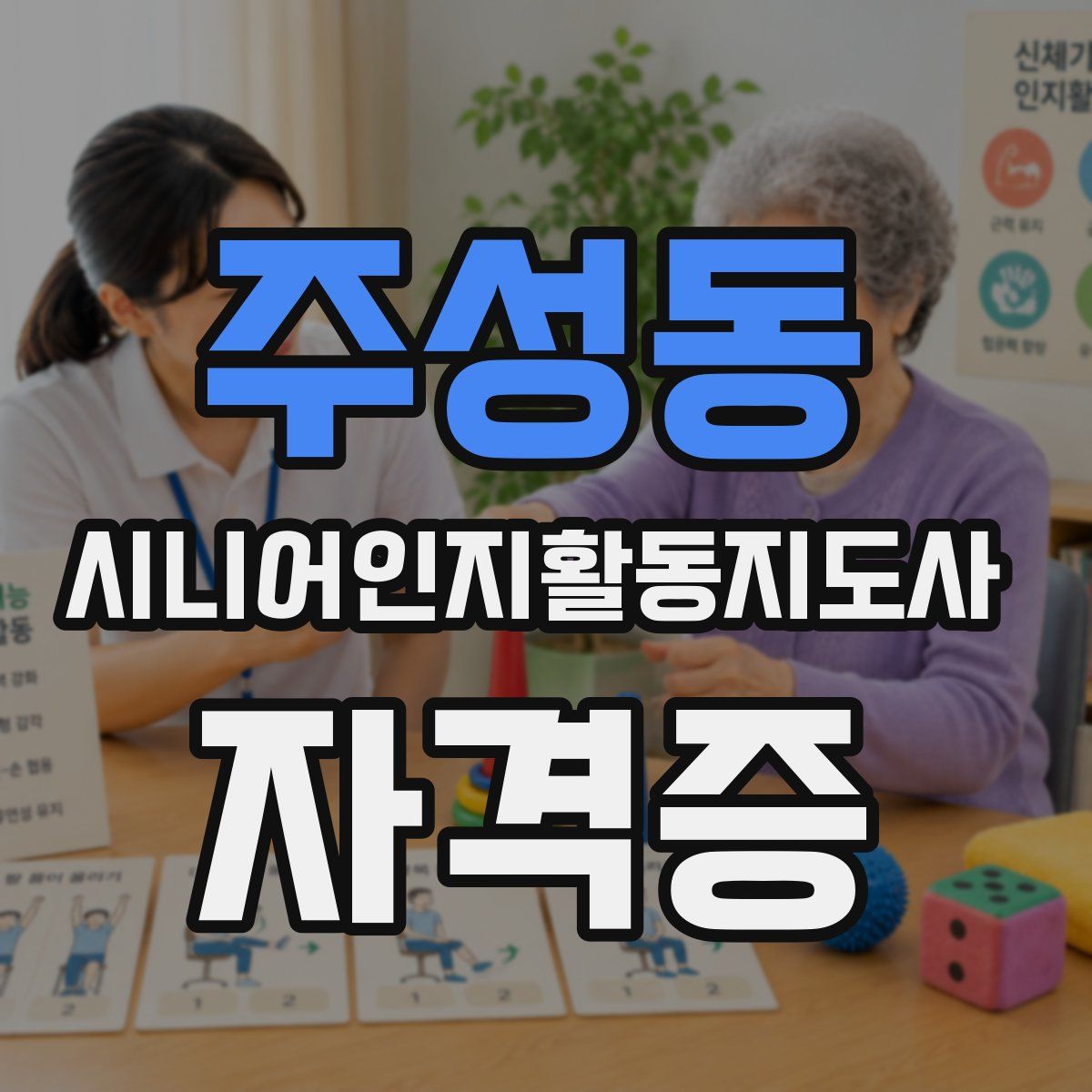 주성동 시니어인지활동지도사 자격증