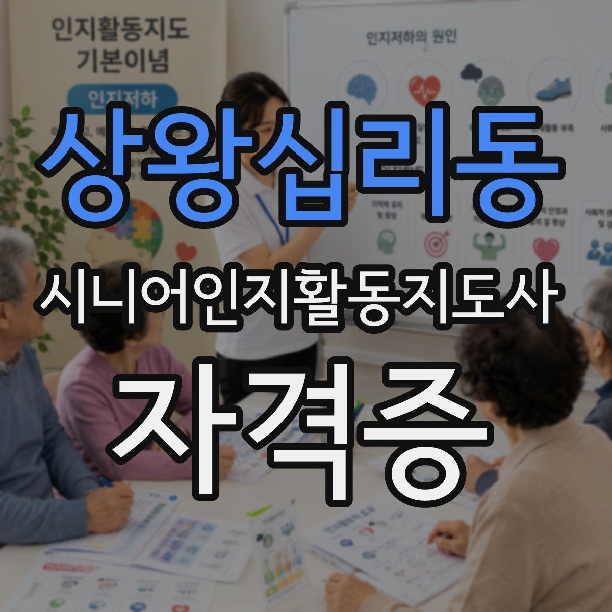 상왕십리동 시니어인지활동지도사 자격증