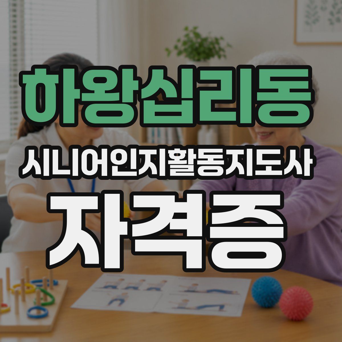 하왕십리동 시니어인지활동지도사 자격증