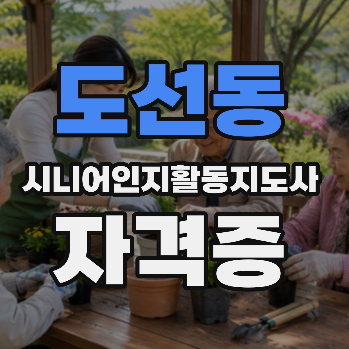 도선동 시니어인지활동지도사 자격증