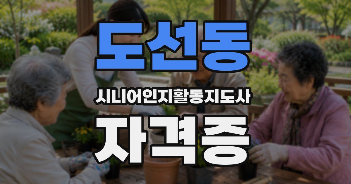 도선동 시니어인지활동지도사 자격증