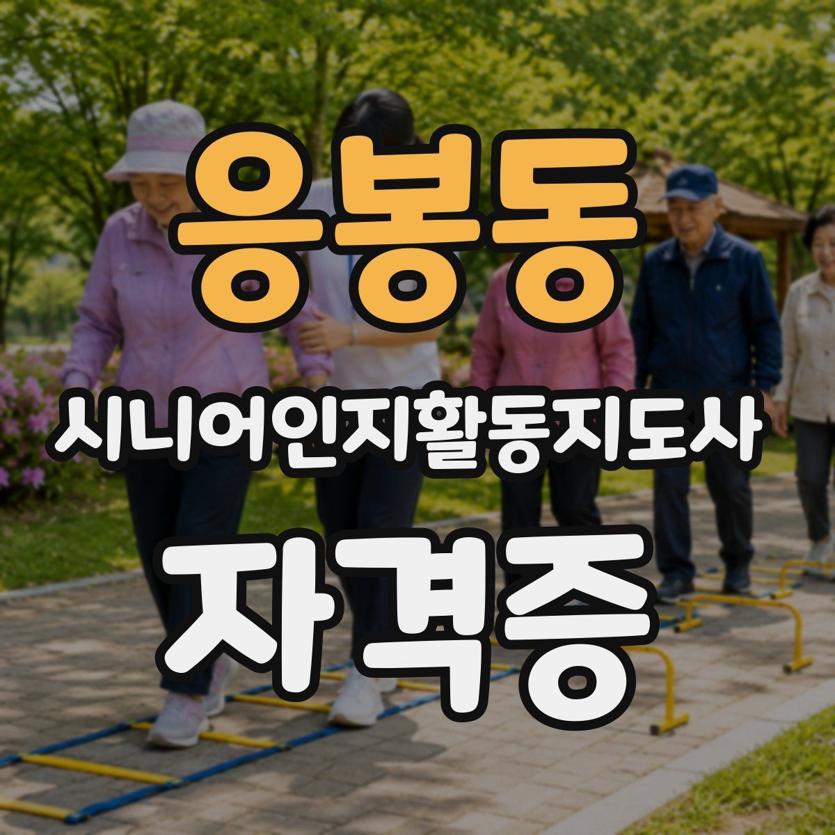 응봉동 시니어인지활동지도사 자격증
