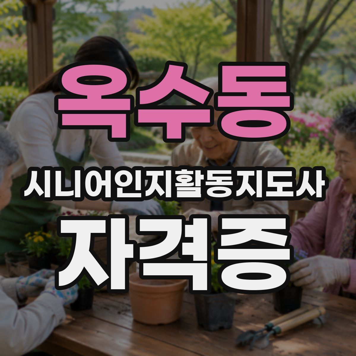 옥수동 시니어인지활동지도사 자격증
