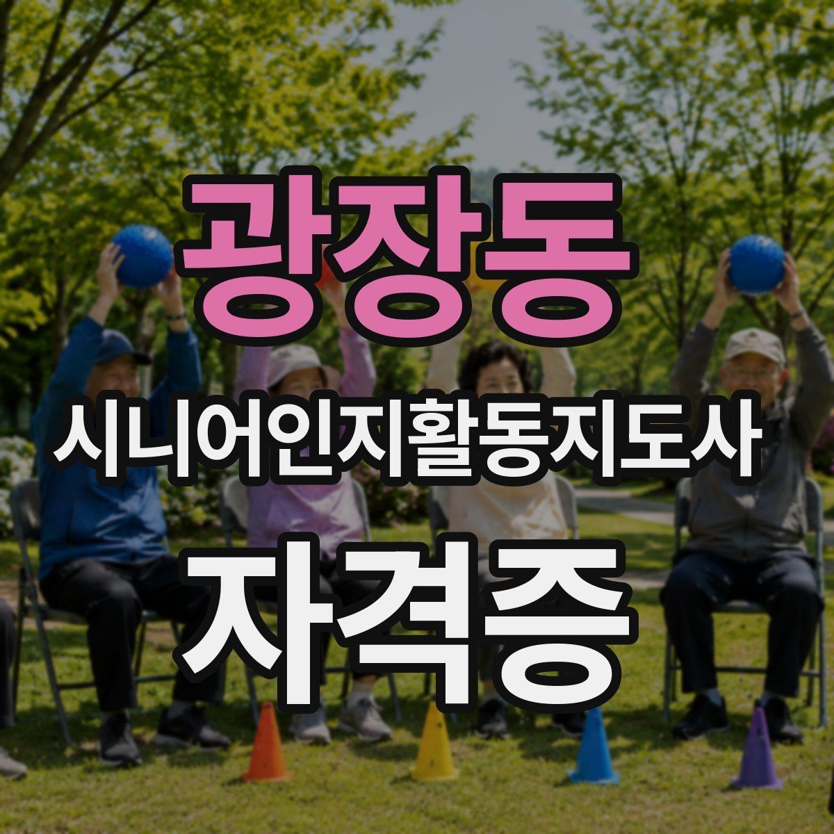 광장동 시니어인지활동지도사 자격증