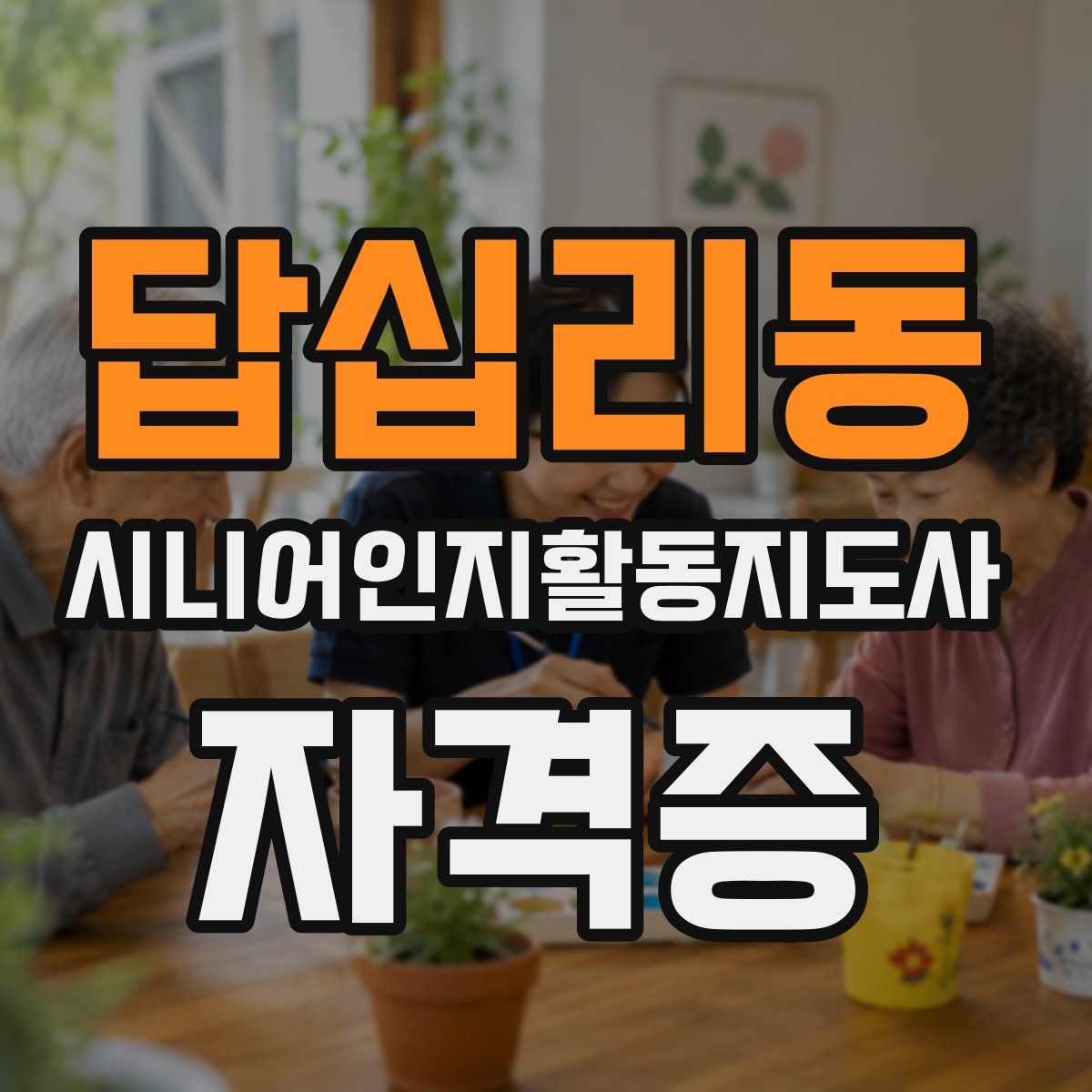 답십리동 시니어인지활동지도사 자격증