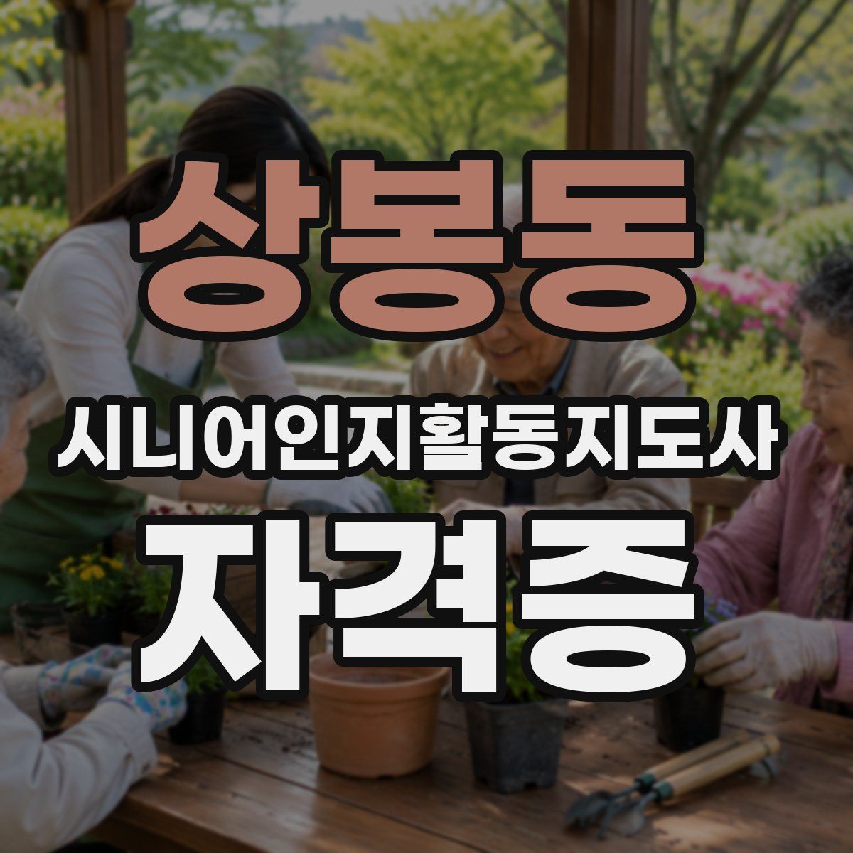 상봉동 시니어인지활동지도사 자격증