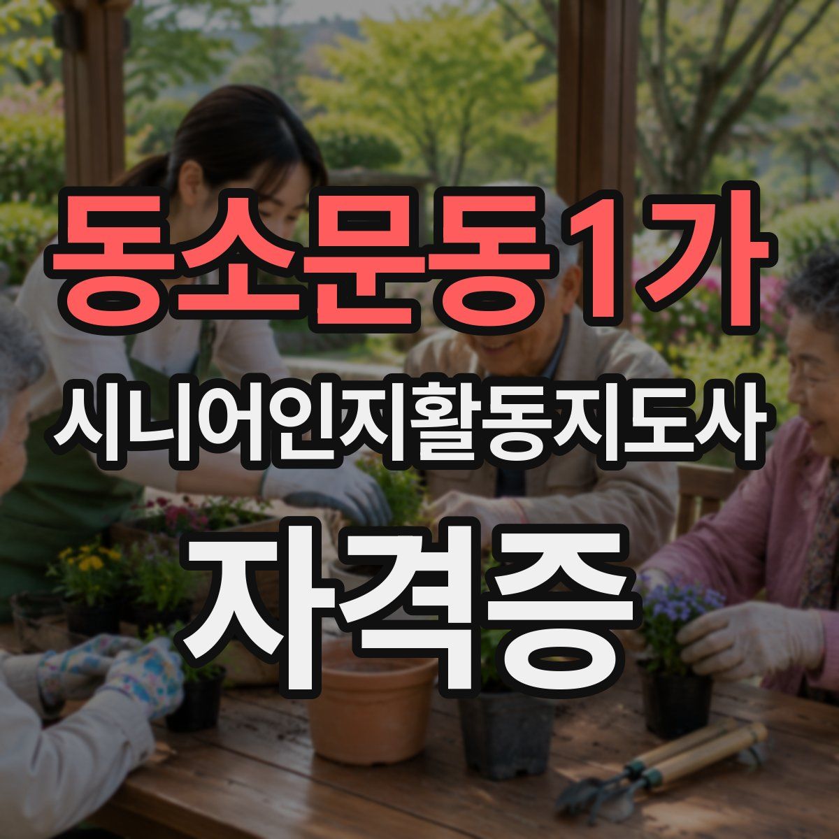 동소문동1가 시니어인지활동지도사 자격증