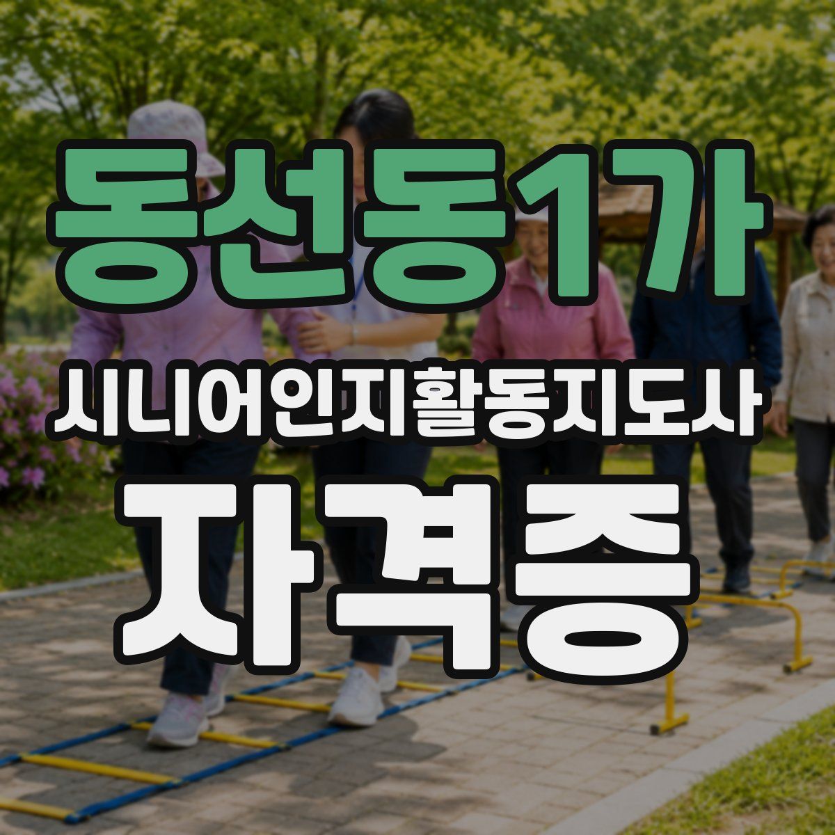 동선동1가 시니어인지활동지도사 자격증