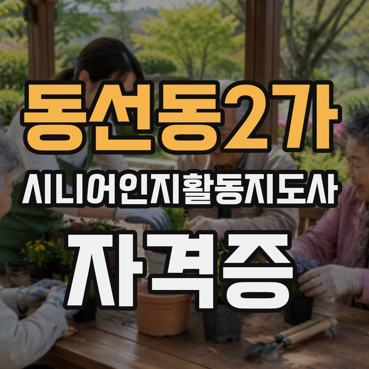 동선동2가 시니어인지활동지도사 자격증