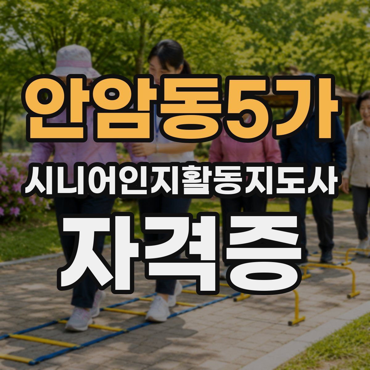 안암동5가 시니어인지활동지도사 자격증