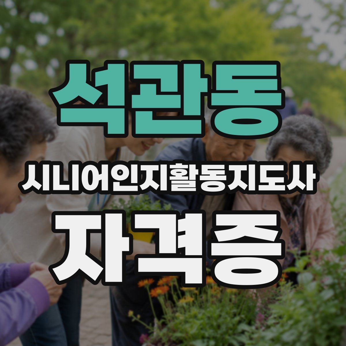 석관동 시니어인지활동지도사 자격증