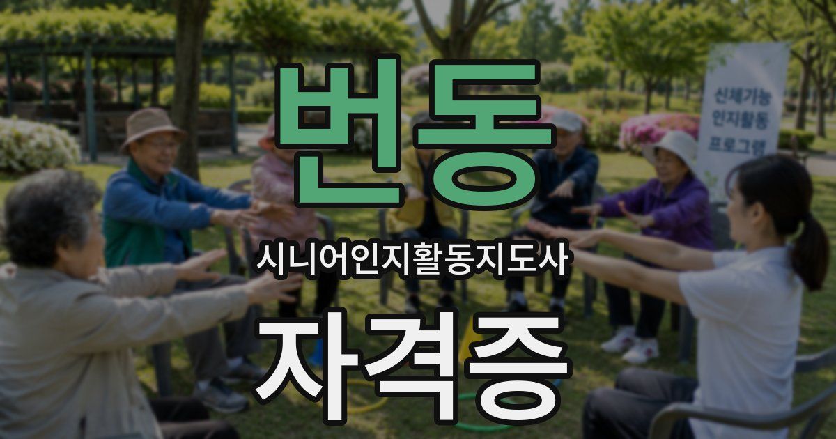 번동 시니어인지활동지도사 자격증