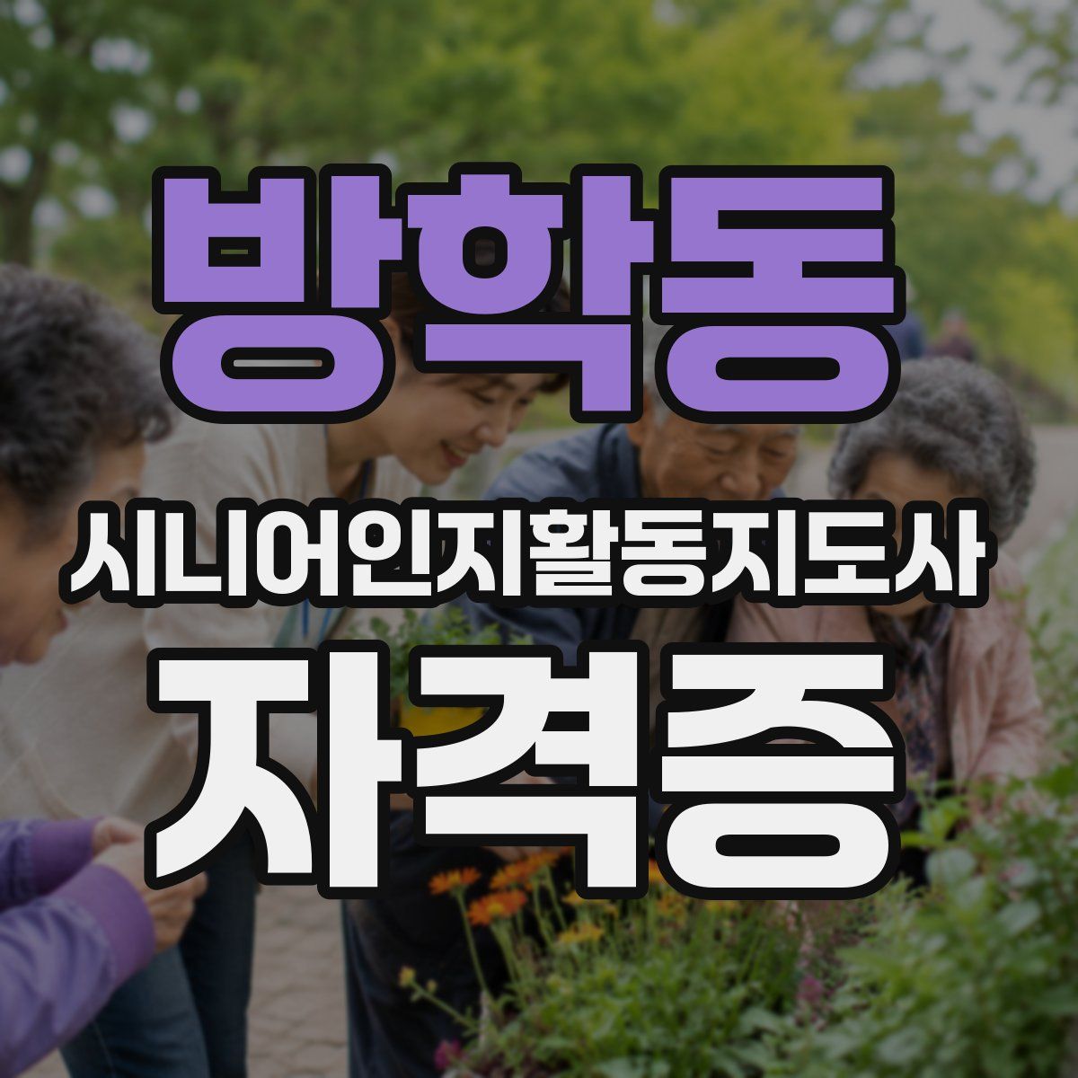 방학동 시니어인지활동지도사 자격증
