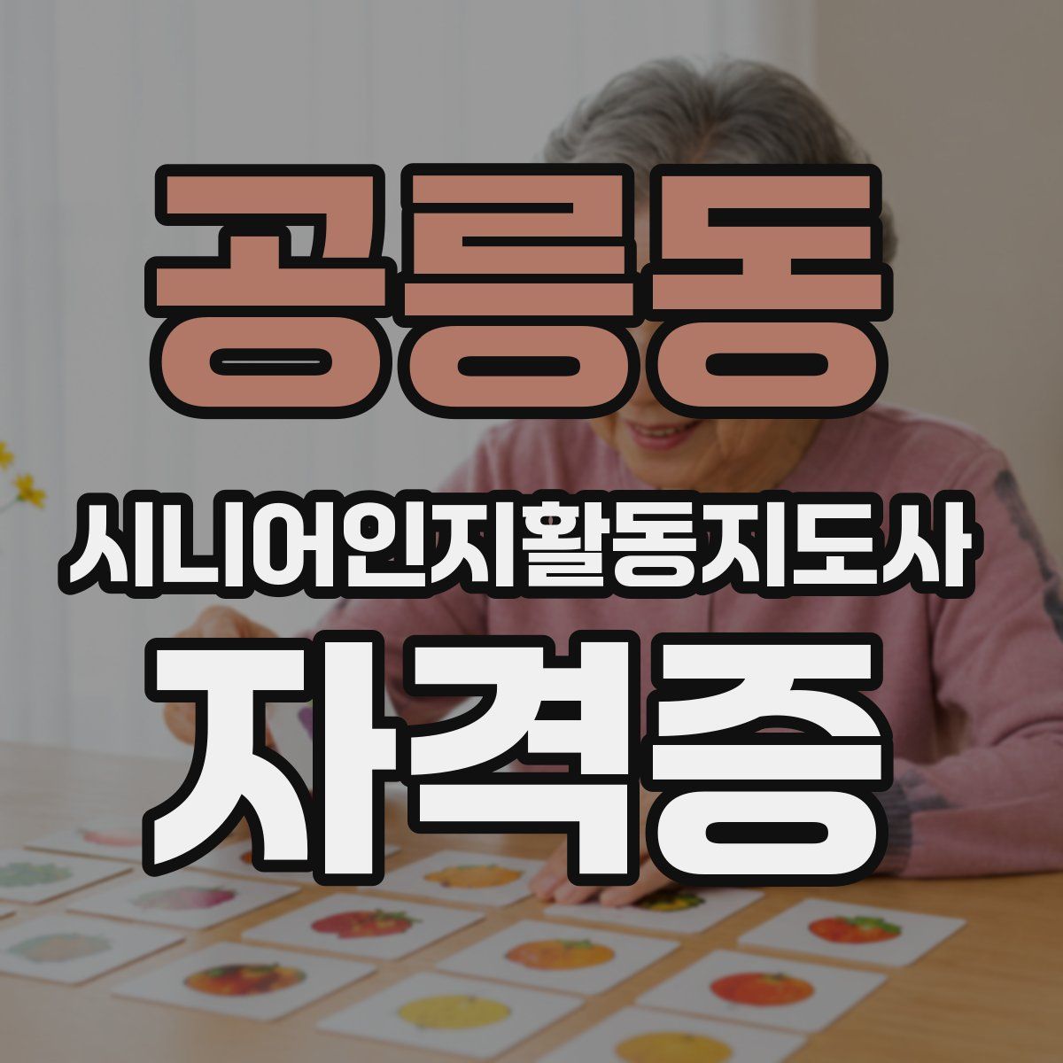 공릉동 시니어인지활동지도사 자격증