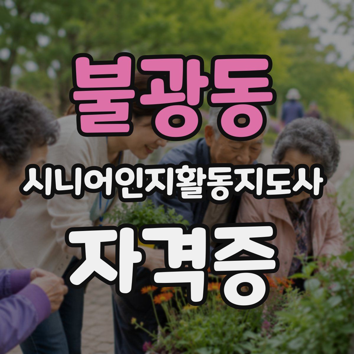 불광동 시니어인지활동지도사 자격증