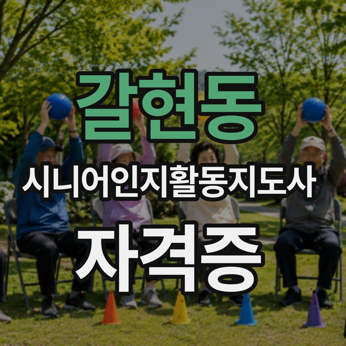 갈현동 시니어인지활동지도사 자격증