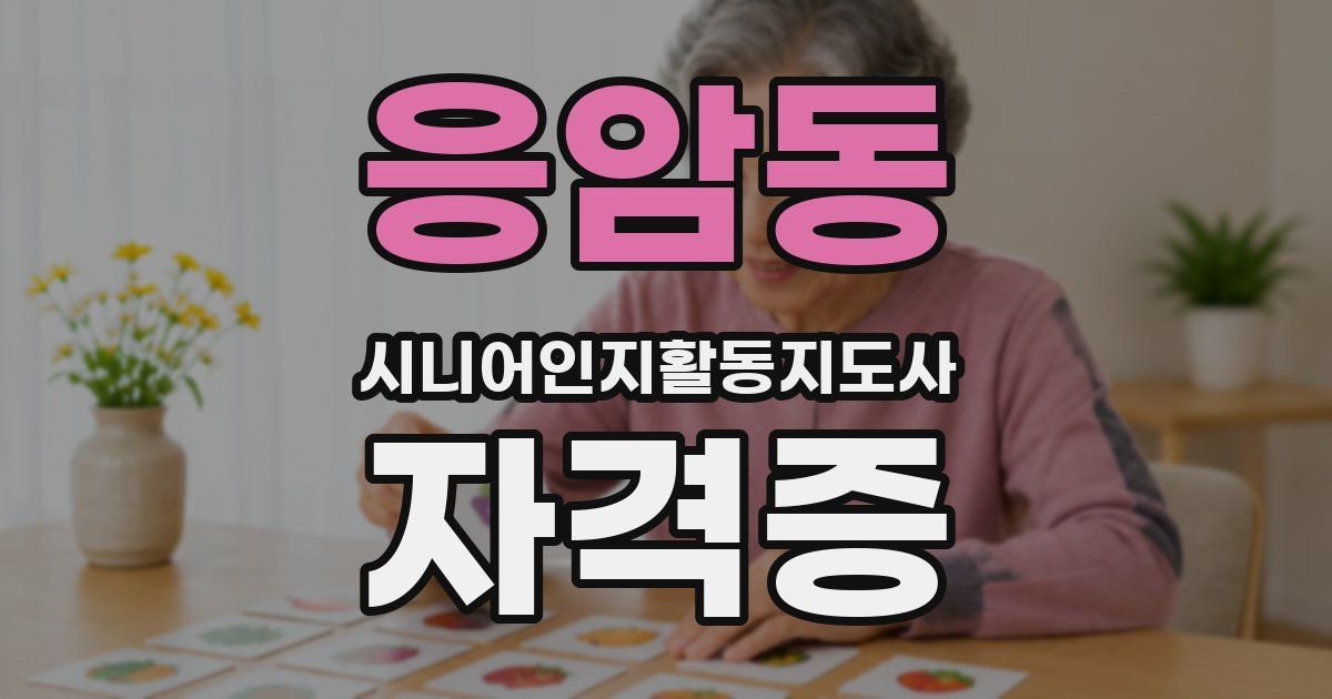 응암동 시니어인지활동지도사 자격증
