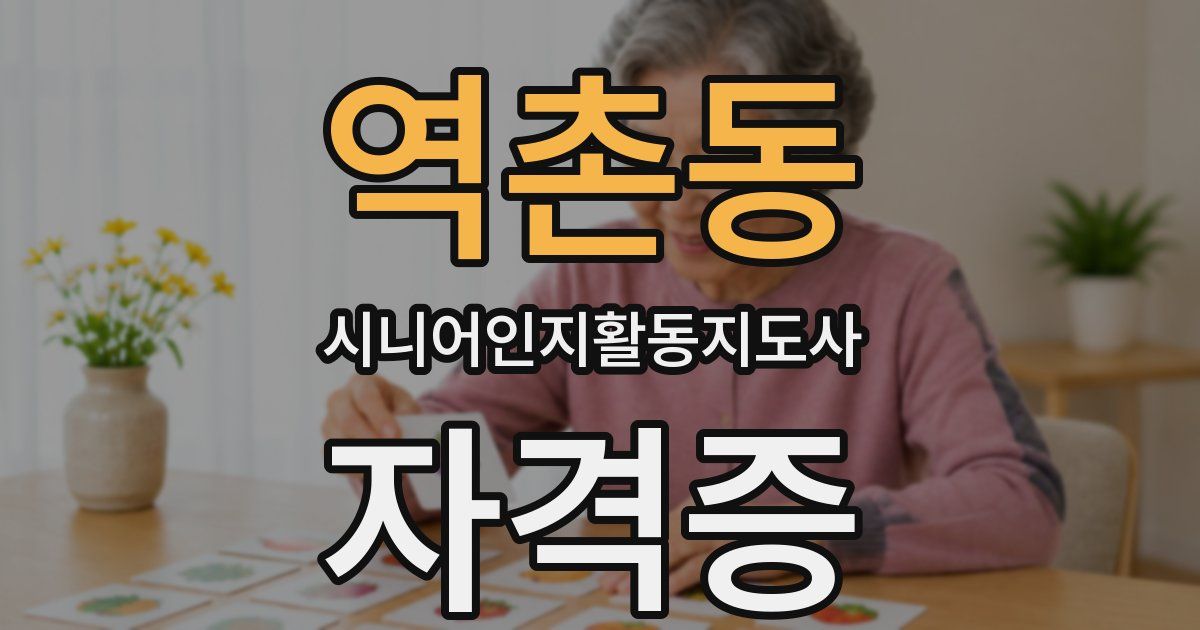 역촌동 시니어인지활동지도사 자격증