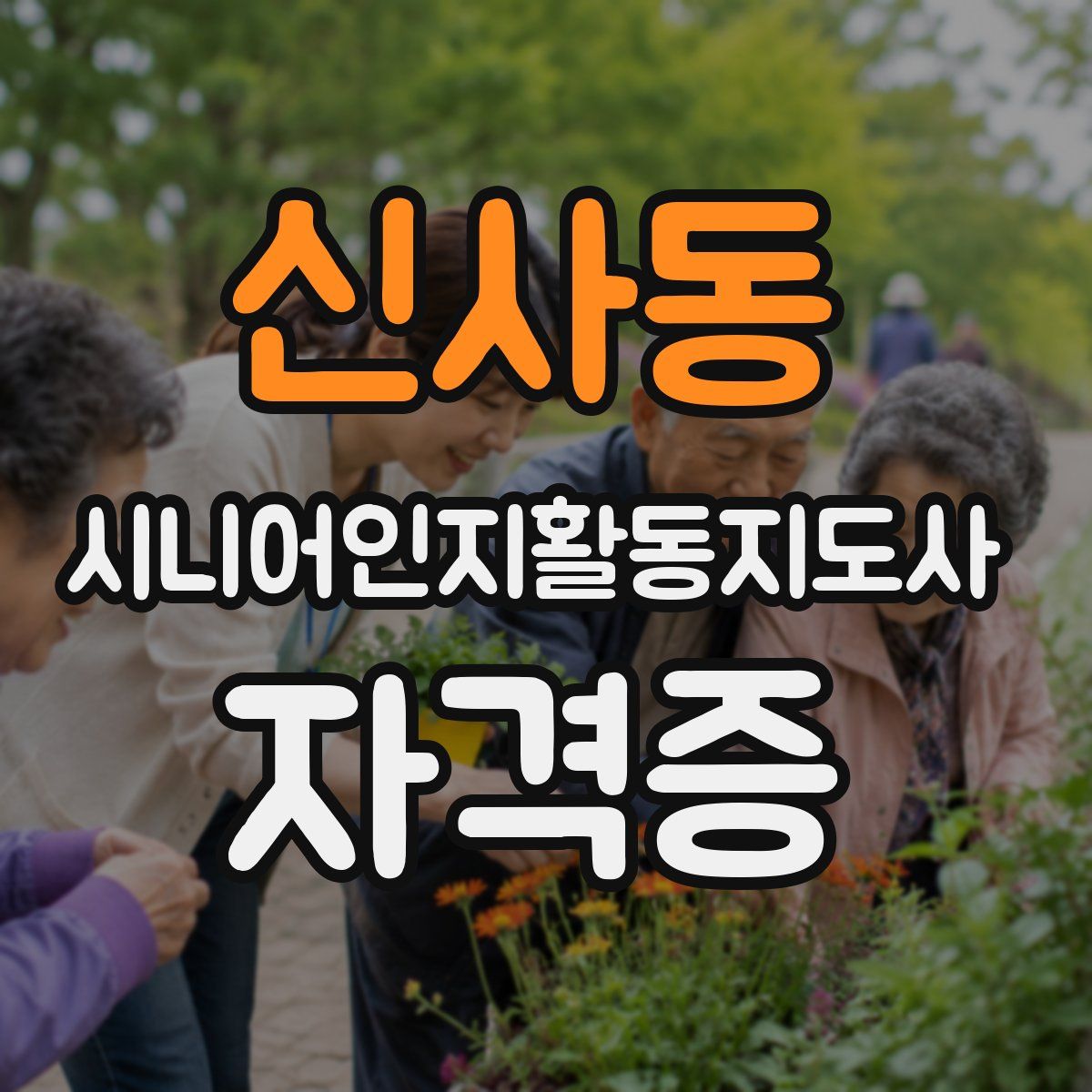 신사동 시니어인지활동지도사 자격증