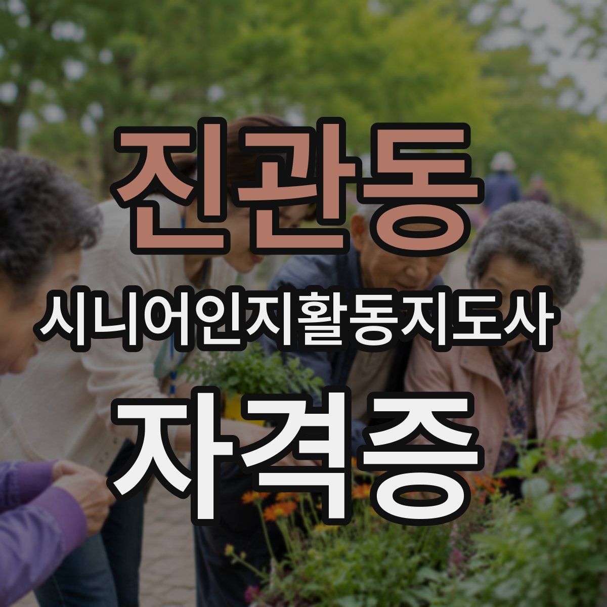진관동 시니어인지활동지도사 자격증