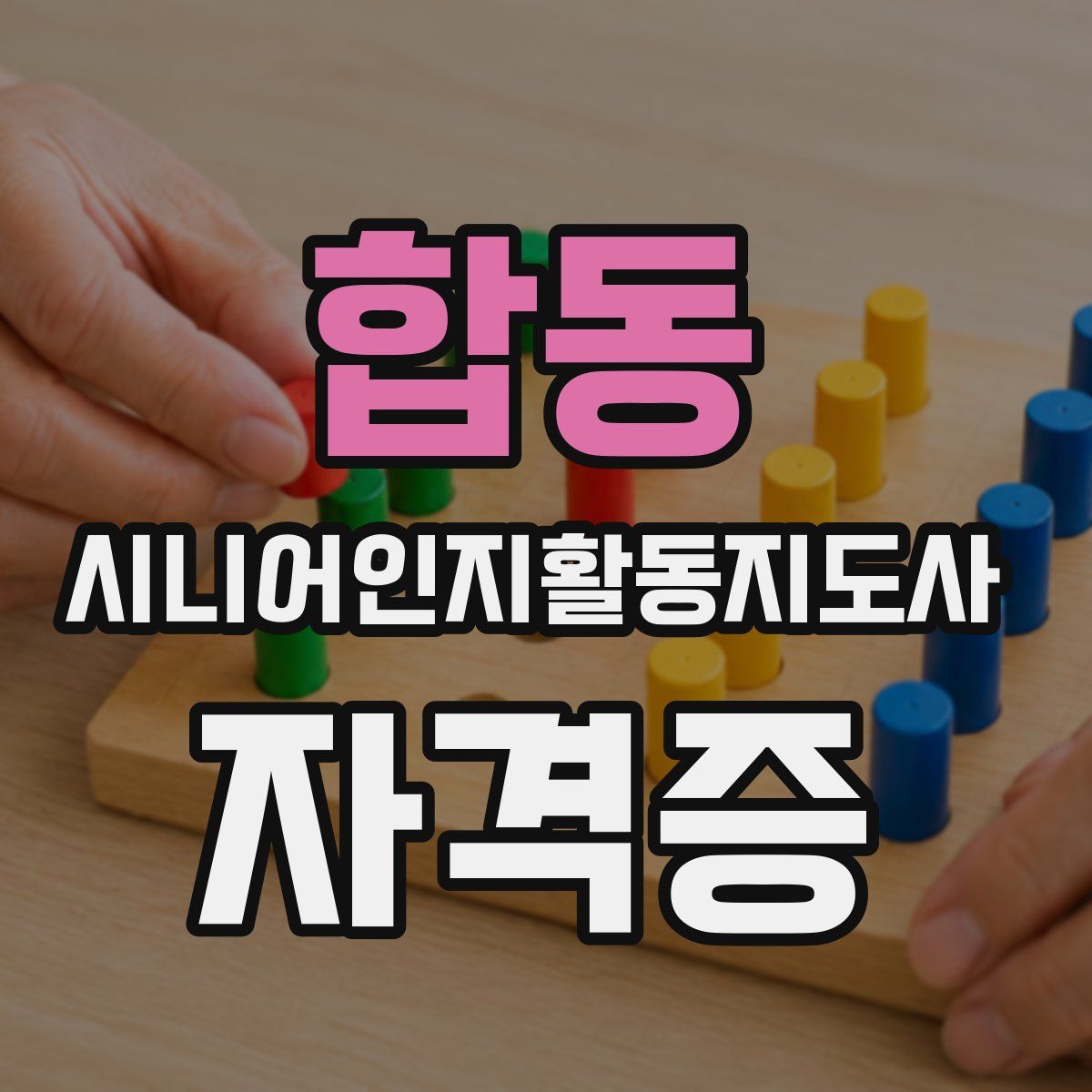 합동 시니어인지활동지도사 자격증