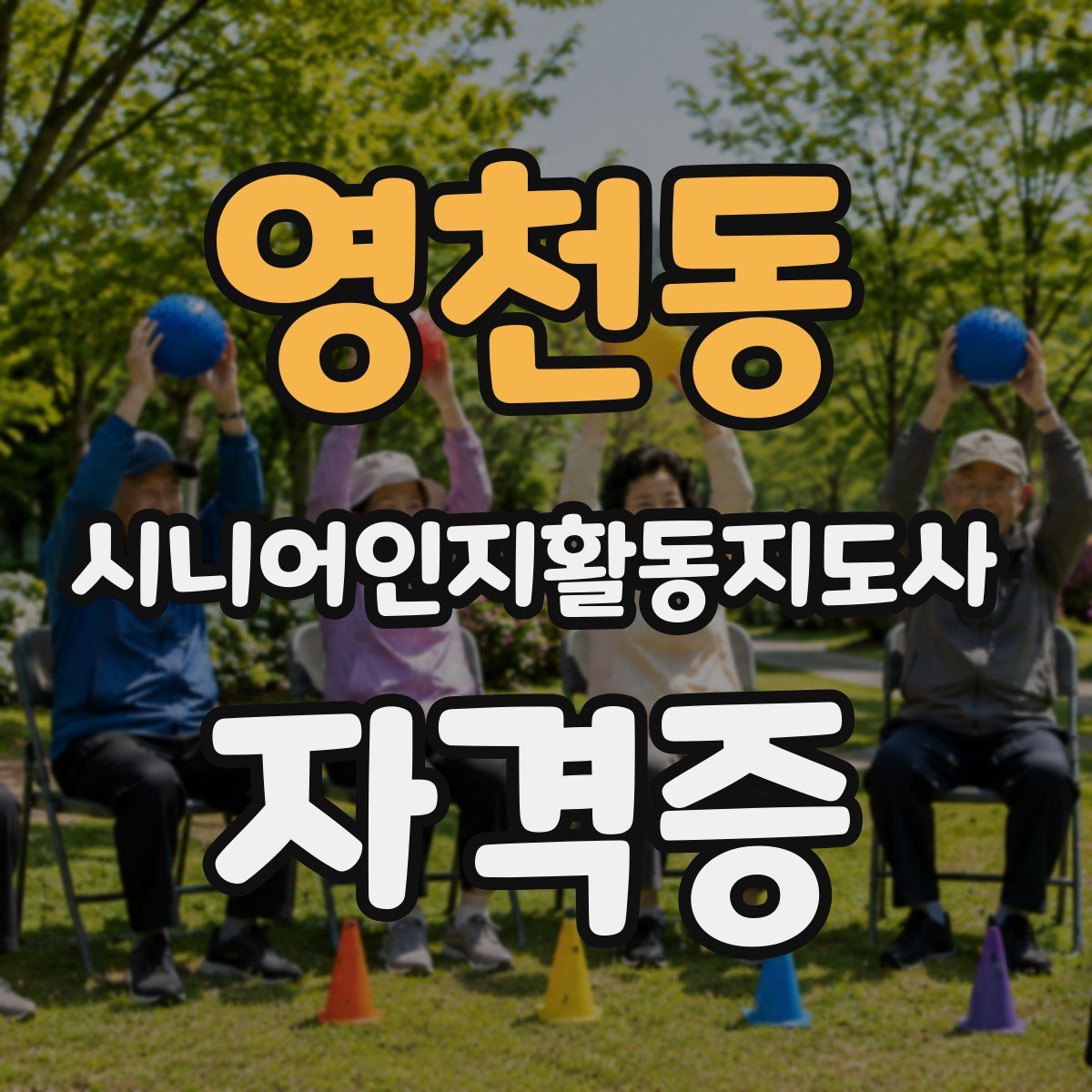 영천동 시니어인지활동지도사 자격증