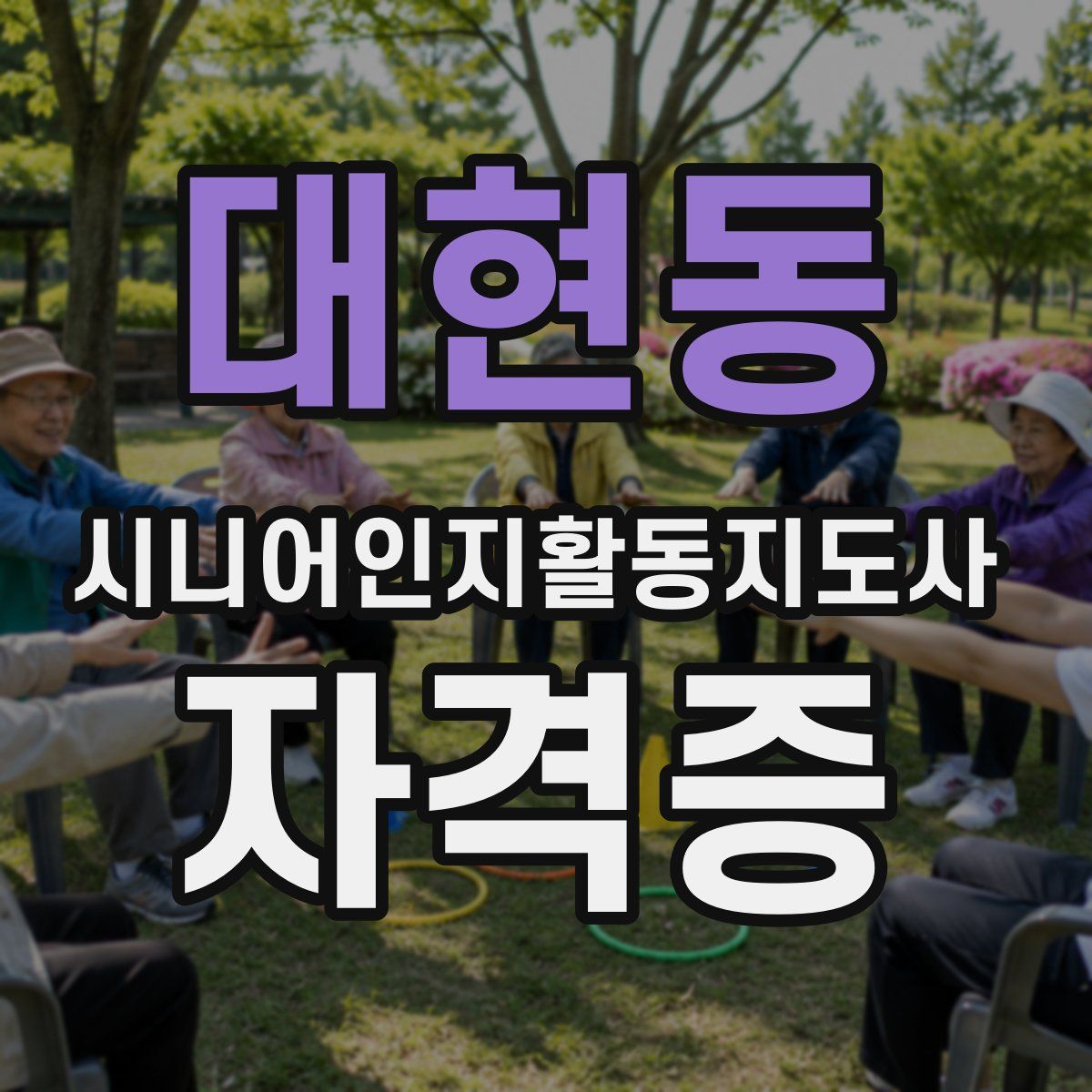대현동 시니어인지활동지도사 자격증
