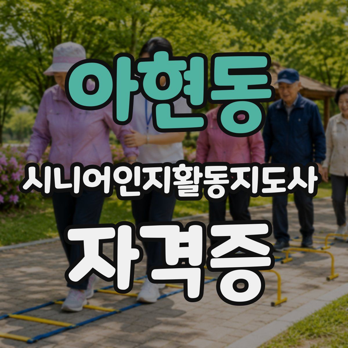 아현동 시니어인지활동지도사 자격증