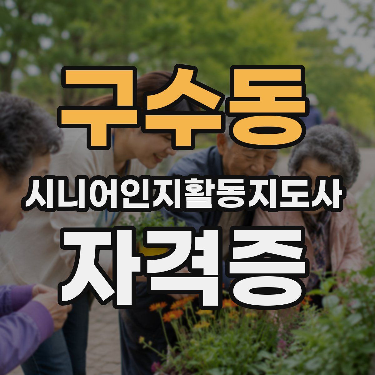 구수동 시니어인지활동지도사 자격증