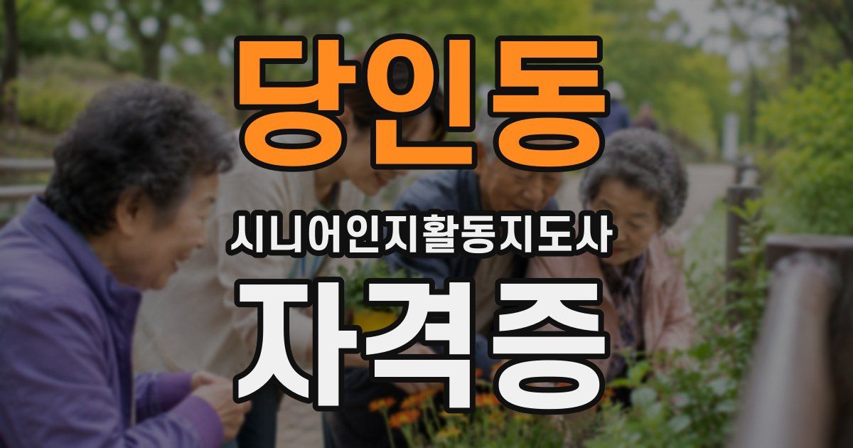 당인동 시니어인지활동지도사 자격증