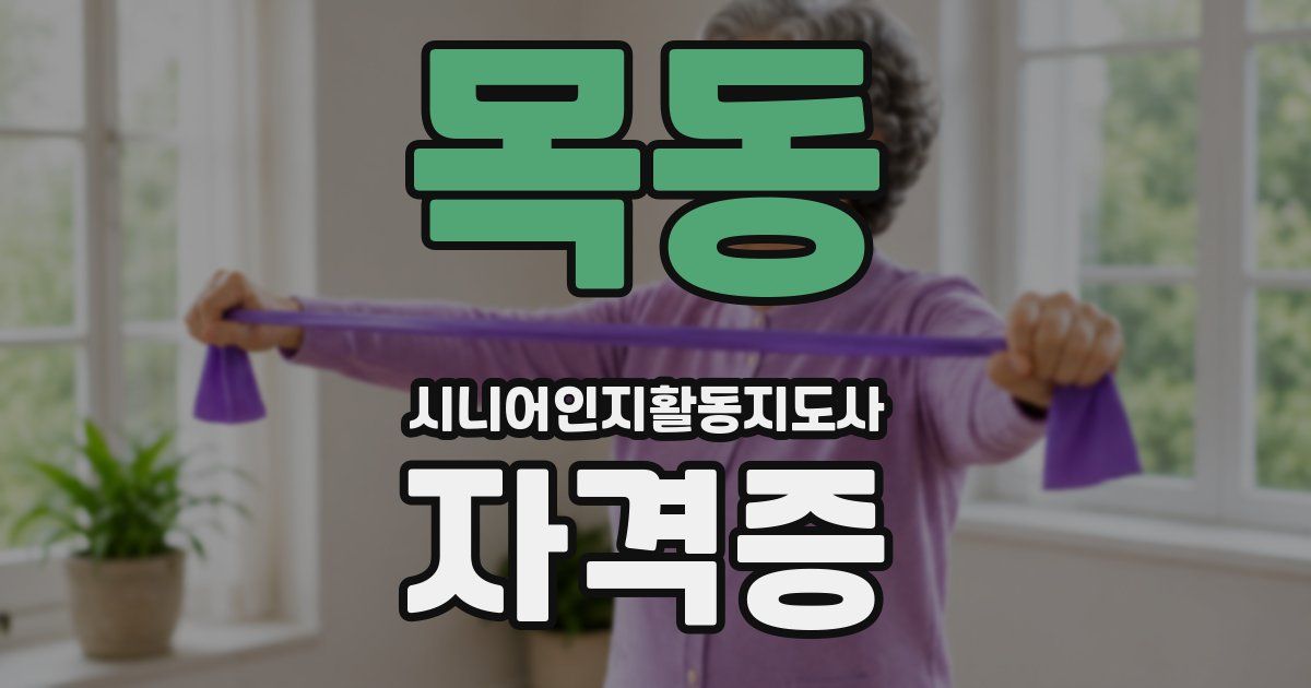 목동 시니어인지활동지도사 자격증