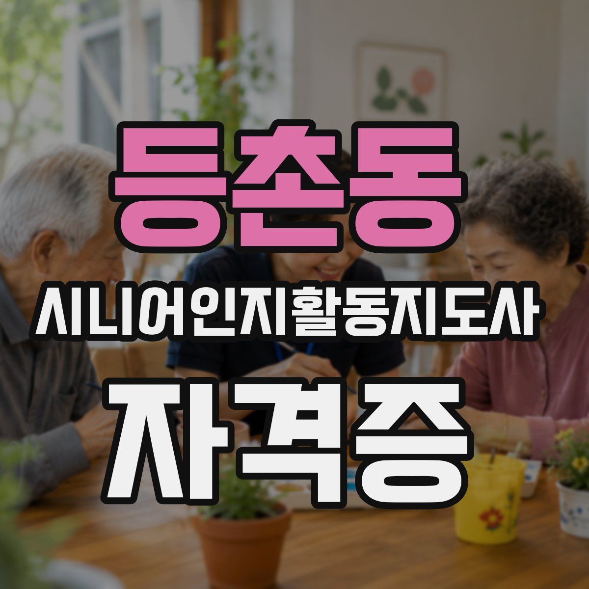 등촌동 시니어인지활동지도사 자격증