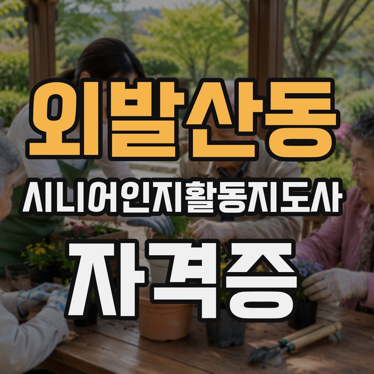 외발산동 시니어인지활동지도사 자격증
