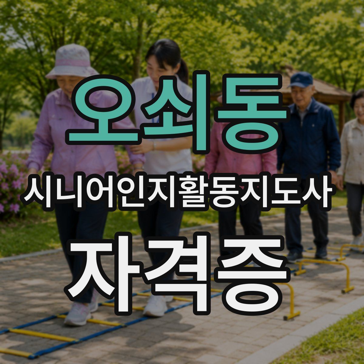 오쇠동 시니어인지활동지도사 자격증
