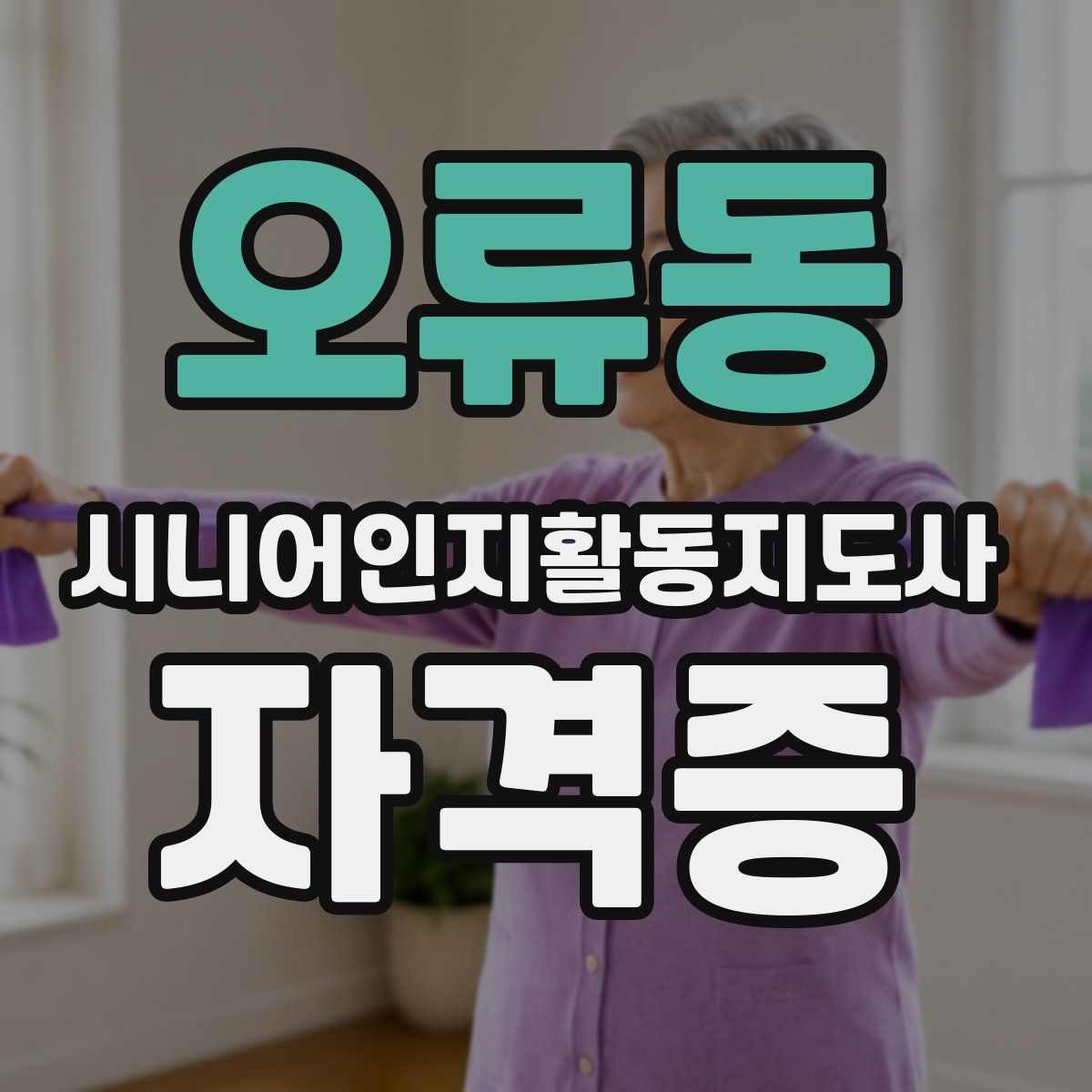 오류동 시니어인지활동지도사 자격증