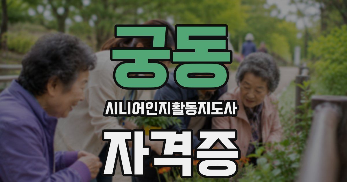 궁동 시니어인지활동지도사 자격증