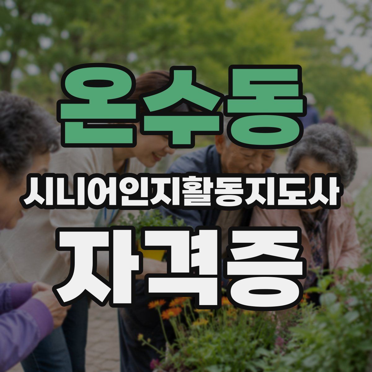 온수동 시니어인지활동지도사 자격증
