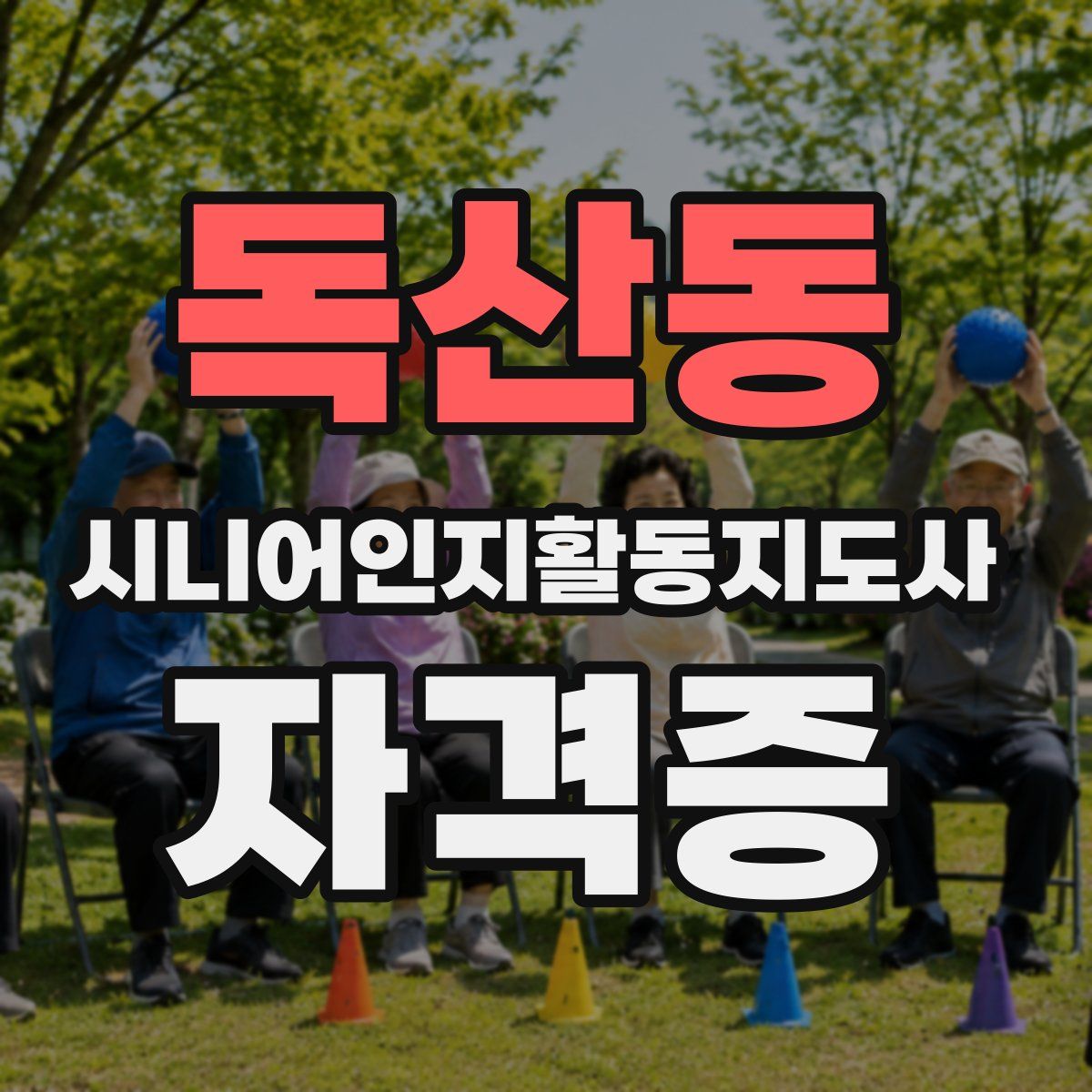 독산동 시니어인지활동지도사 자격증