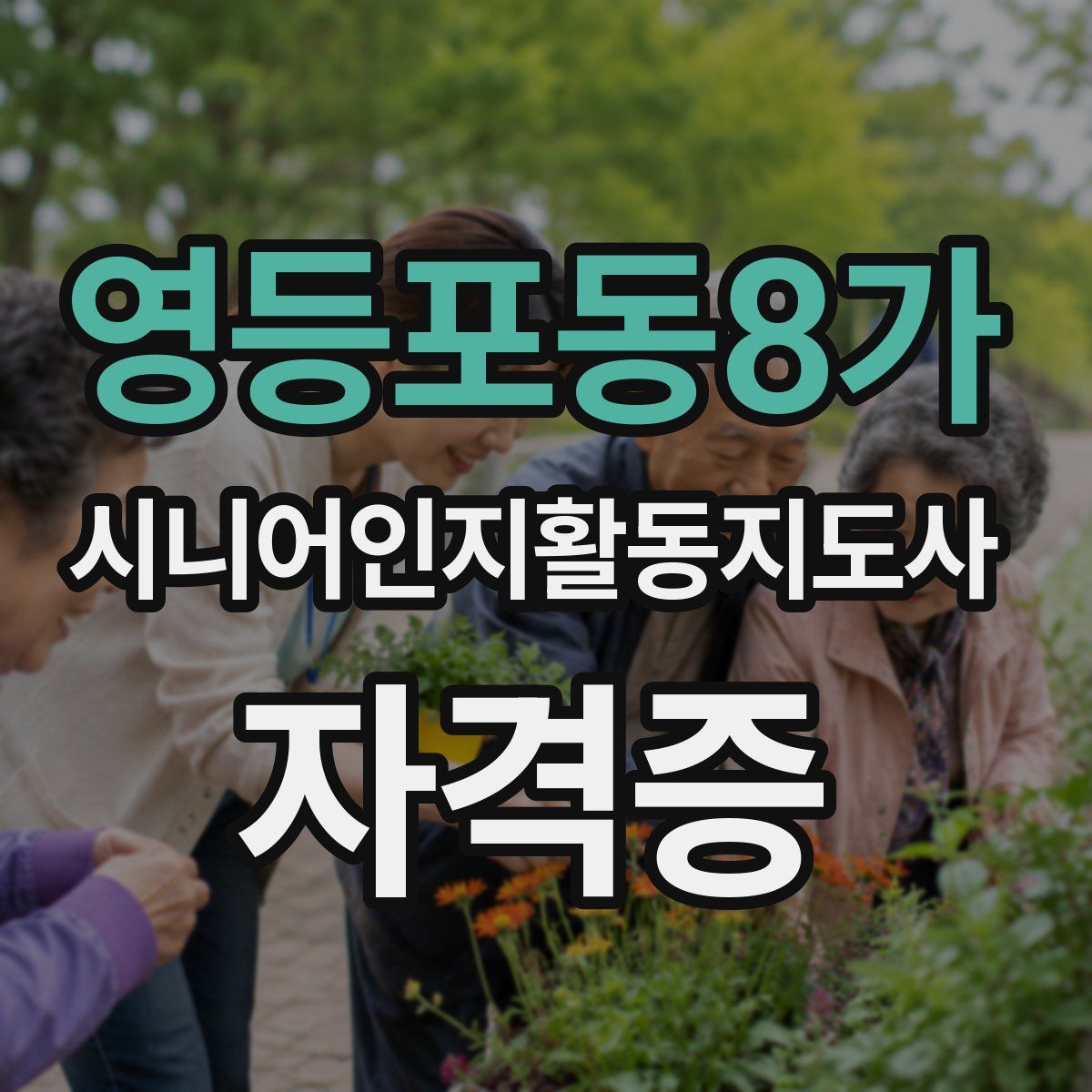 영등포동8가 시니어인지활동지도사 자격증