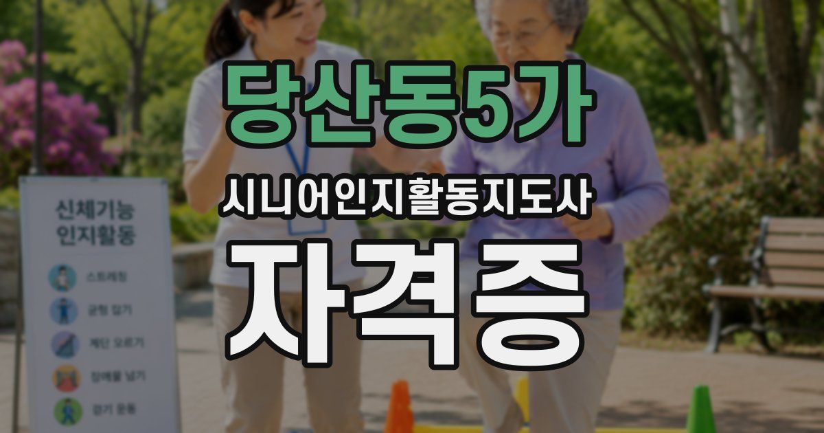 당산동5가 시니어인지활동지도사 자격증