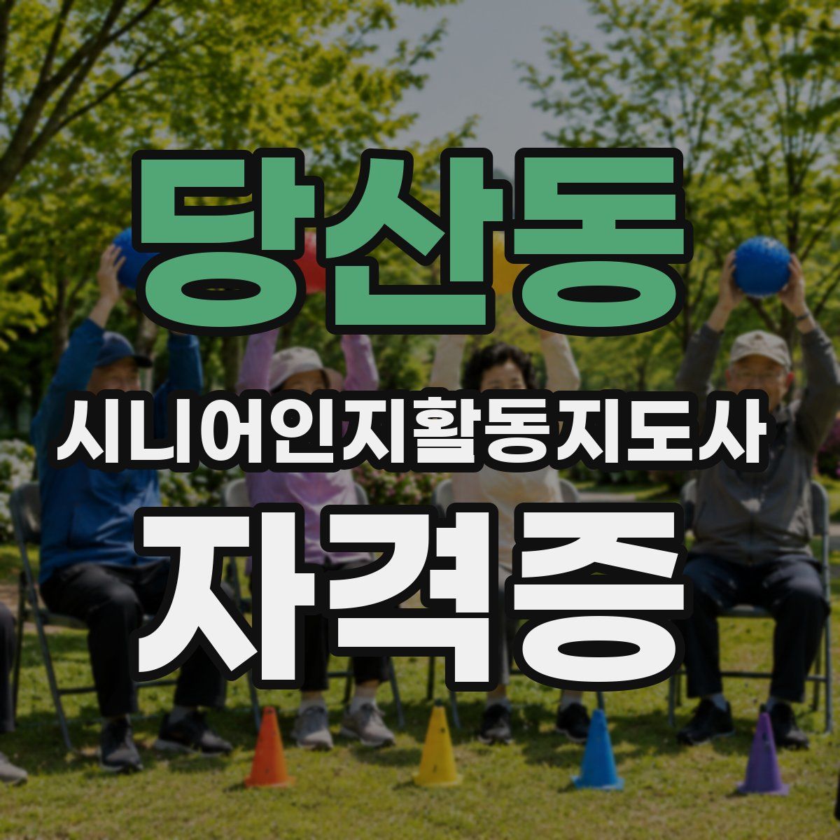 당산동 시니어인지활동지도사 자격증