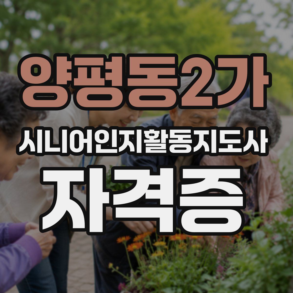 양평동2가 시니어인지활동지도사 자격증