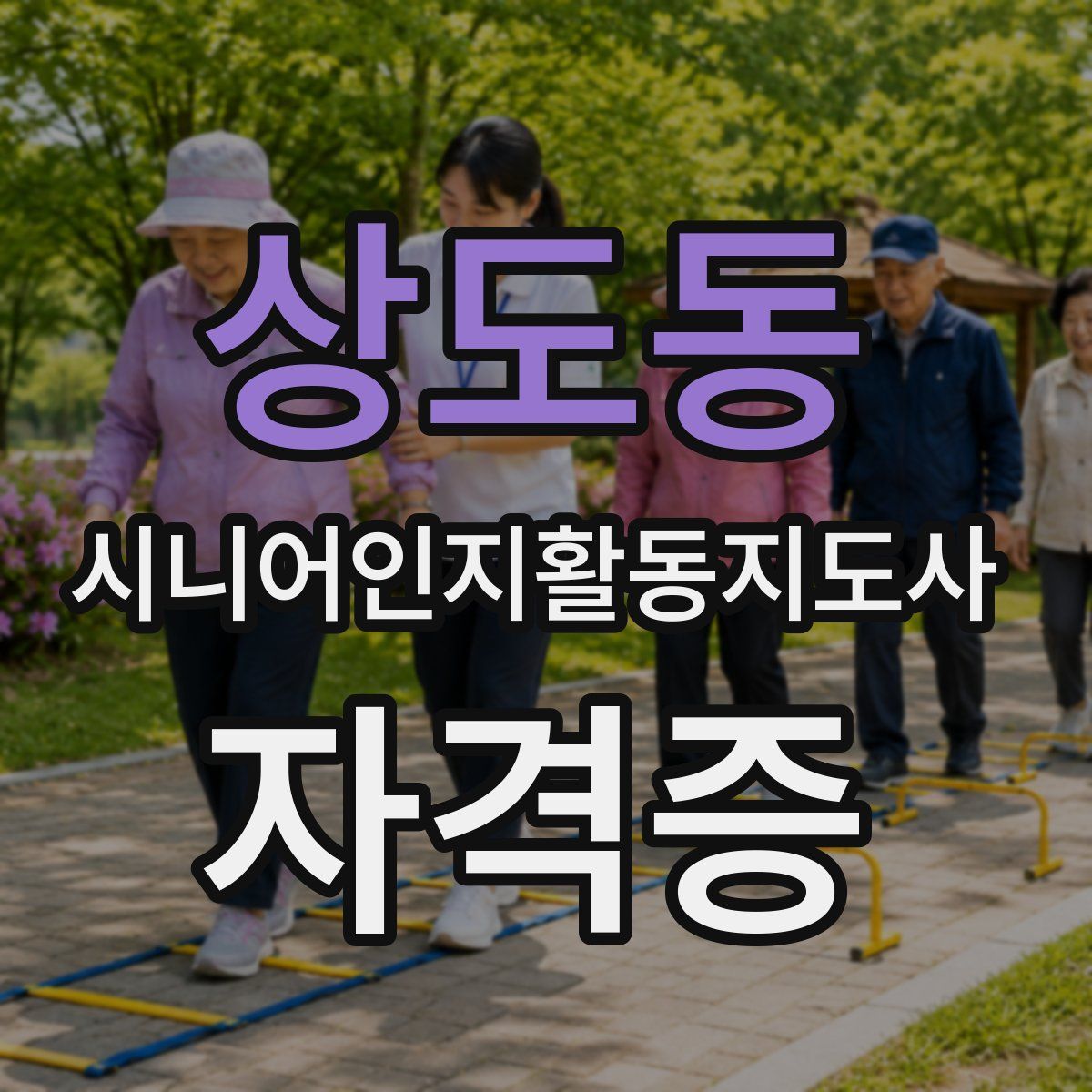상도동 시니어인지활동지도사 자격증