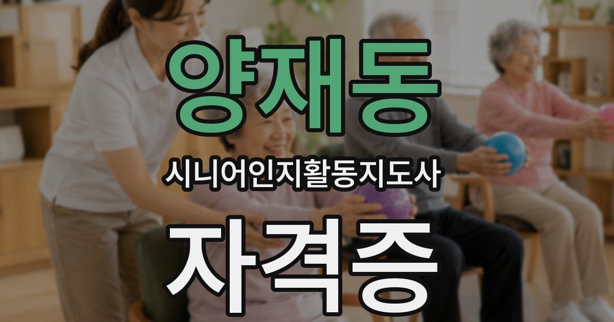양재동 시니어인지활동지도사 자격증