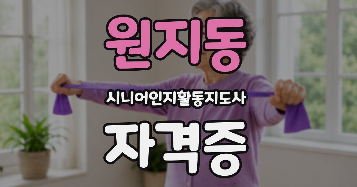원지동 시니어인지활동지도사 자격증
