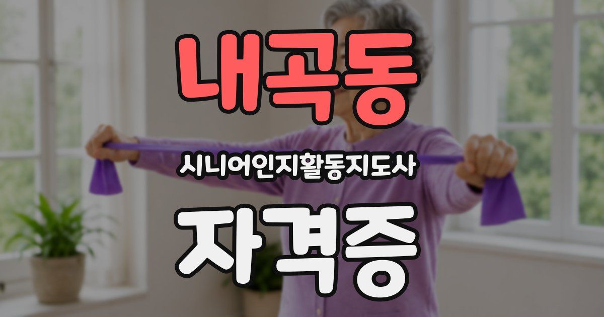 내곡동 시니어인지활동지도사 자격증