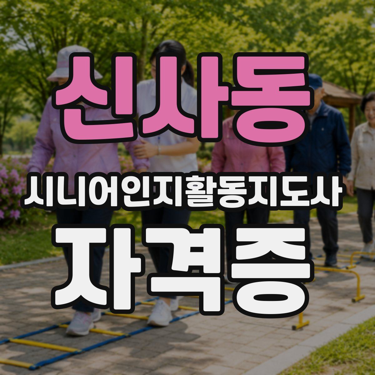 신사동 시니어인지활동지도사 자격증