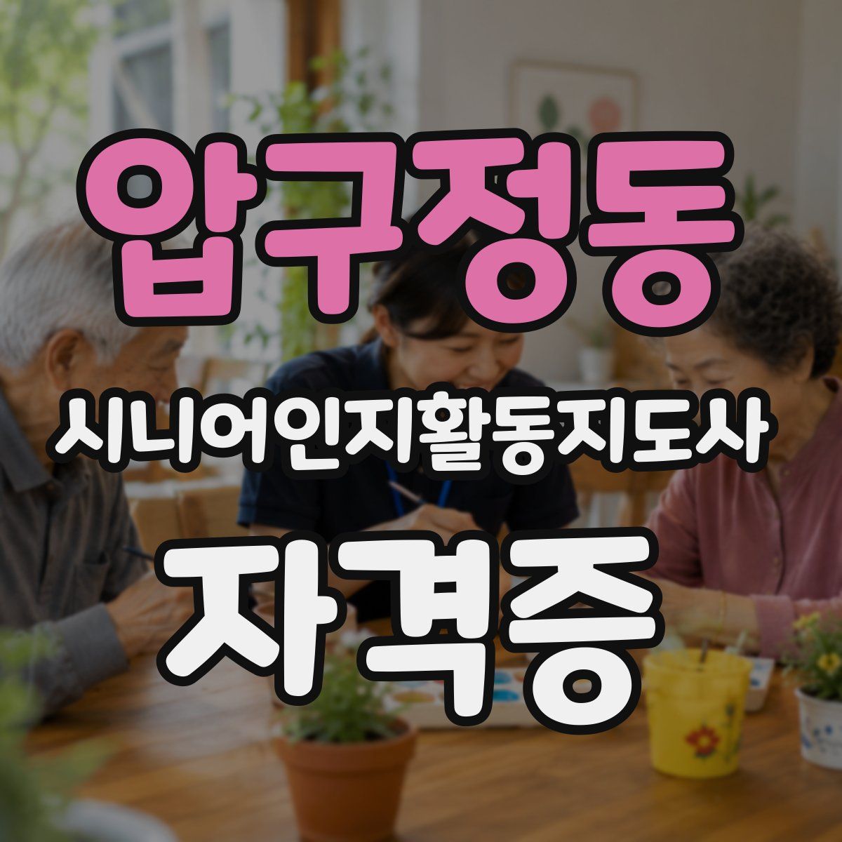 압구정동 시니어인지활동지도사 자격증